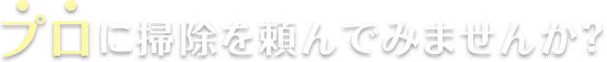 プロに掃除を頼んでみませんか？